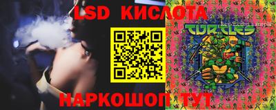 кокс Ливны