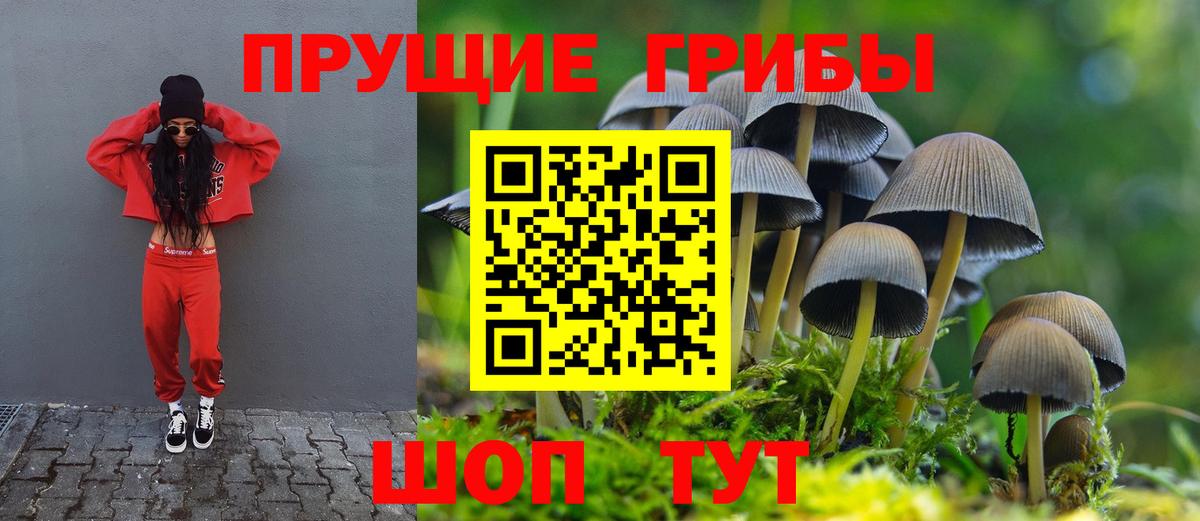 Галлюциногенные грибы прущие грибы  Галлюциногенные грибы GOLDEN TEACHER  Вологда  Вход с VPN 