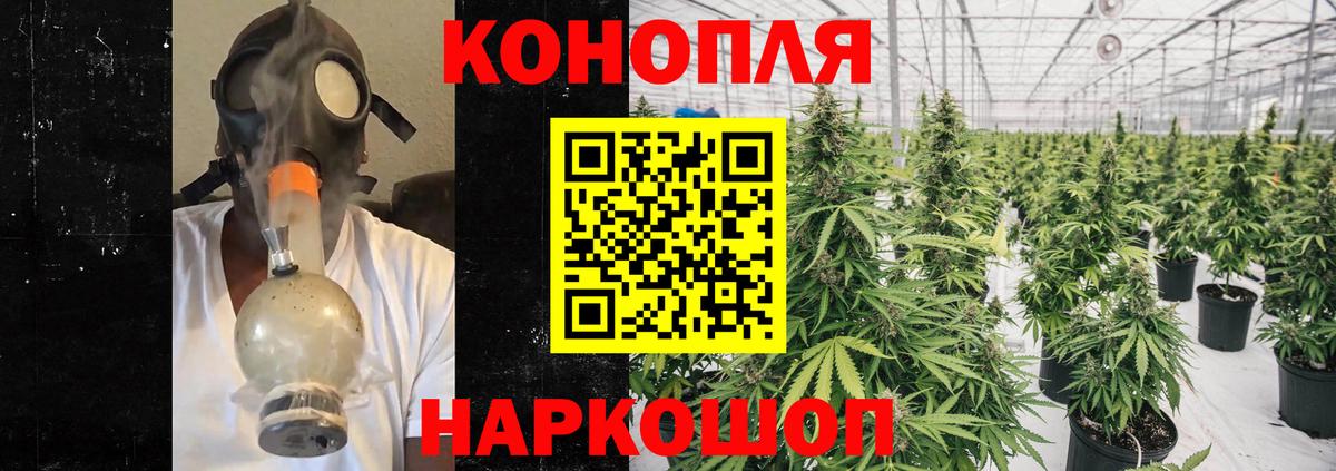 Бошки Шишки тримм  Конопля индика  Бошки Шишки Ganja  Вологда  Каннабис планчик  Вход с VPN 